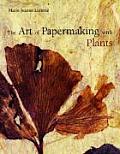 Art Of Papermaking With Plants
