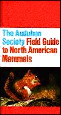 Audubon Field Guide To North American Mammals
