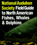 Audubon Society Field Guide To North American Fishes Whales & Dolphins