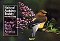 National Audubon Society Pocket Guide to Familiar Birds Eastern Region Eastern