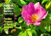 National Audubon Society Pocket Guide to Familiar Flowers East