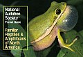 National Audubon Society Pocket Guide to Familiar Reptiles & Amphibians