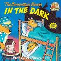 Berenstain Bears In The Dark