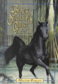 Black Stallion 18 Black Stallions Ghost