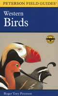 Peterson Field Guide To Western Birds 2nd Edition