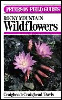 Peterson Field Guide To Rocky Mountain Wildflowers