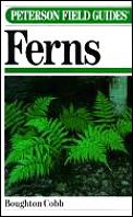 Field Guide To Ferns & Related Families Ne & Cen Na