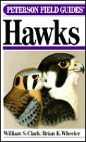 Field Guide To Hawks Of North America Peterson