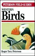 Peterson Field Guide To Western Birds