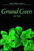 Taylors Pocket Guide To Ground Covers For Sun