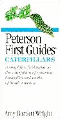 Peterson First Guide To Caterpillars Of