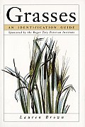 Grasses An Identification Guide