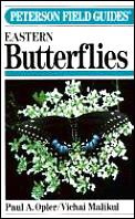 Field Guide To Eastern Butterflies Peterson Field Guide