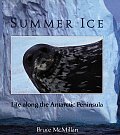 Summer Ice Life Along the Antarctic Peninsula