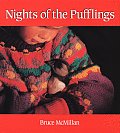 Nights Of The Pufflings