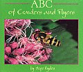 Abc Of Crawlers & Flyers