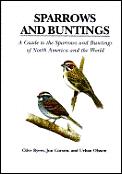 Sparrows & Buntings