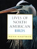 Lives Of North American Birds