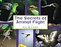 Secrets Of Animal Flight