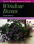 Window Boxes How To Plant & Maintain Bea