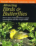 Taylors Weekend Gardening Guide to Attracting Birds & Butterflies How to Plant a Backyard Habitat to Attract Hummingbirds & Other Winged Wildlife