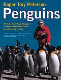 Penguins A Tribute From King Penguin In Words & Pictures to His Favorite Family of Birds