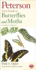 Peterson First Guide to Butterflies & Moths