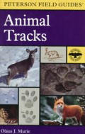 Field Guide To Animal Tracks Peterson Field Guide