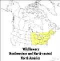 Field Guide to Wildflowers Northeastern & North Central North America