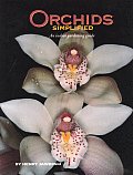 Orchids Simplified An Indoor Gardening