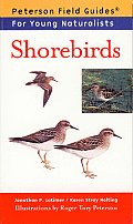 Young Naturalist Guide To Shorebirds