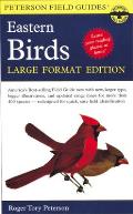 Field Guide to the Birds of Eastern & Central North America Large Format Edition