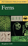 Peterson Field Guide To The Ferns