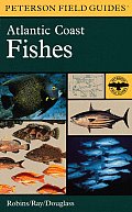 Field Guide to Atlantic Coast Fishes North America