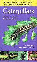 Caterpillars Peterson Field Guide For Young Naturalists