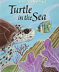 Turtle In The Sea