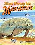 Slow Down For Manatees