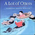 Lot Of Otters Board Book