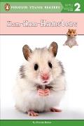 Ham Ham Hamsters