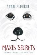 Maxis Secrets Or What You Can Learn from a Dog