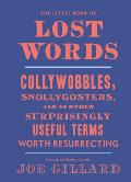Little Book of Lost Words Collywobbles Snollygosters & 86 Other Surprisingly Useful Terms Worth Resurrecting