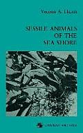 Sessile Animals of the Sea Shore