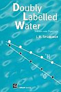Doubly Labelled Water: Theory and Practice