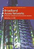 Broadband Access Networks: Introduction Strategies and Techno-Economic Evaluation