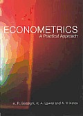 Econometrics: A Practical Approach