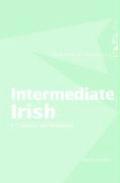 Intermediate Irish A Grammar & Workbook