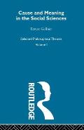 Cause and Meaning in the Social Sciences