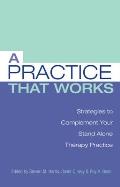 Practice That Works Strategies to Complement Your Stand Alone Therapy Practice
