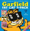 Garfield Fat Cat 3 Pack 19
