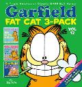 Garfield Fat Cat 3 Pack Volume 12